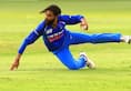 Watch: Ravindra Jadeja's electric fielding sends back Usman Khawaja