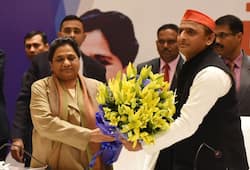 SP-BSP alliance a bid to save disproportionate assets of Yadavs, Mayawati