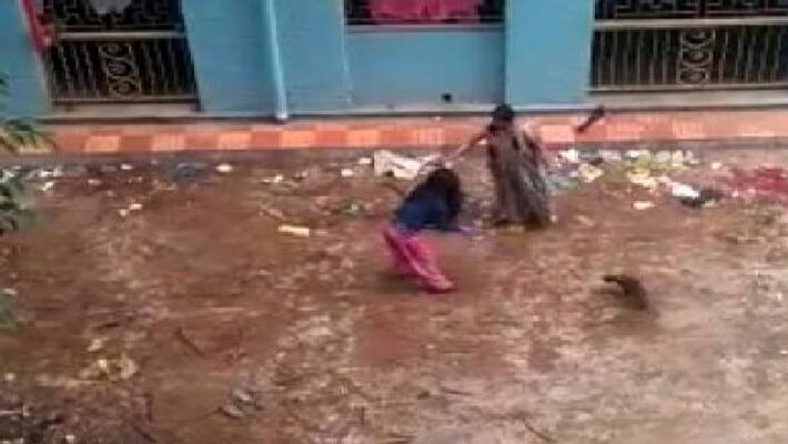 two women suspected of killing 16 puppies in kolkata two women suspected of killing 16 puppies in kolkata