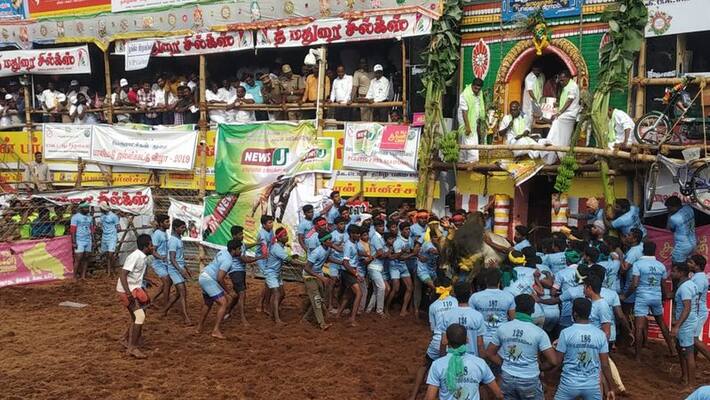 balamedu jallikaattu balamedu jallikaattu