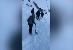 Three Dead, seven Missing As Avalanche Hits truck In Khardung La Pass of Ladakh