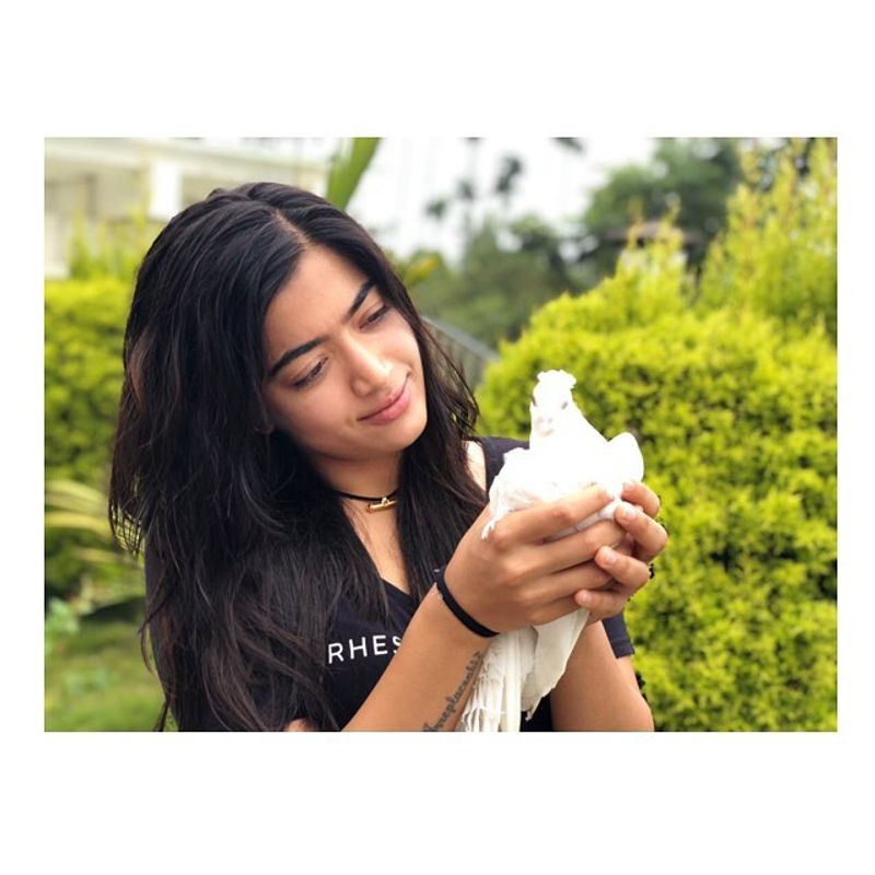 RASHMIKA MANDANNA HOT AND CUTE PHOTOS
