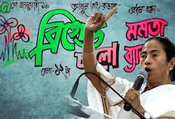 Mamata Banerjee United India: Hits and misses of Saturday rally in Kolkata