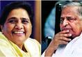 SP-BSP alliance may squeeze Mulayam out of UP politics