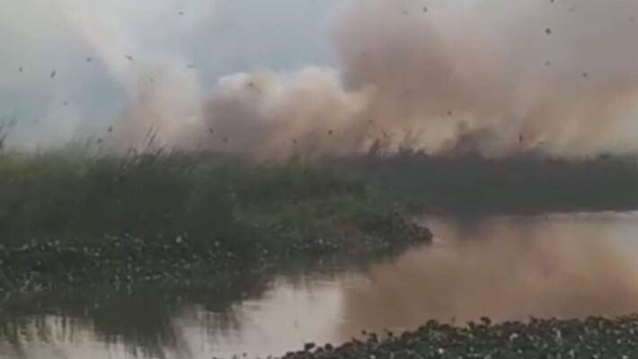 fire breaks out in bengaluru lake fire breaks out in bengaluru lake