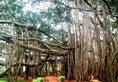 The magnificence of the worlds oldest banyan tree located in Kolkata iwh