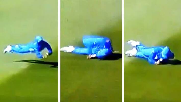 watch kuldeep yadav took stunnig catch vs new zealand watch kuldeep yadav took stunnig catch vs new zealand