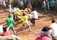 Kolar bull race Bull succumbs to injuries hundreds people watch Jallikattu