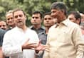 Chandrababu Naidu meets Rahul Gandhi opposition parties meeting likely May 21