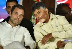 Has Naidu influenced the decision of Congress high command