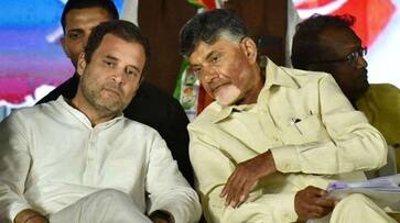 Has Naidu influenced the decision of Congress high command