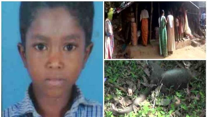 people fera monkey fever causes student's death people fera monkey fever causes student's death