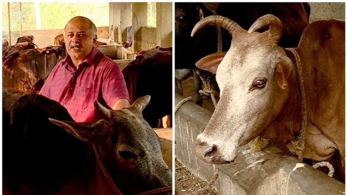 cow care taker vijayakrishnan got national award cow care taker vijayakrishnan got national award