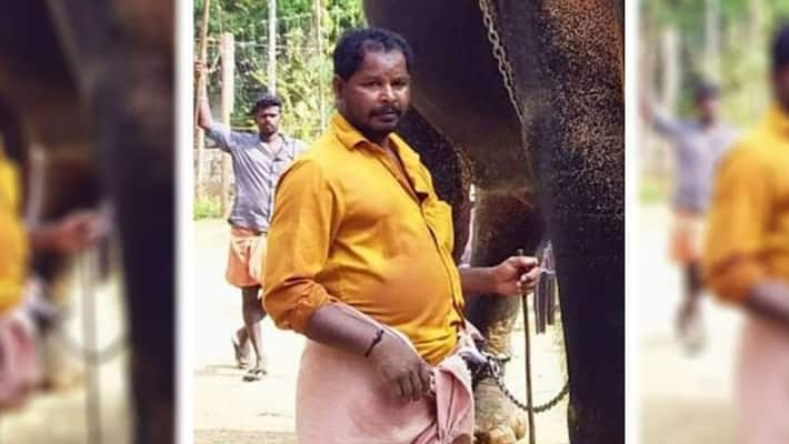 elephant murdered mahout elephant murdered mahout