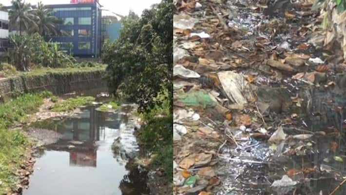 jaundice cases rise in kanjirapally no attempt to clean drainage jaundice cases rise in kanjirapally no attempt to clean drainage