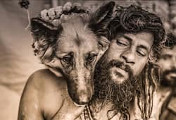 Star attraction of Kumbh Mela 2019 Tipu The Tirth Yatra dog