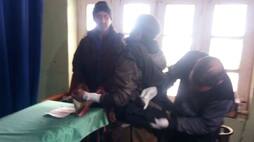 Grenade attack in Jammu-Kashmir's Anantnag, seven injured