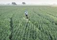 Budget 2019: Rs 6,000 per year for farmers with less than 2  hectares of land..