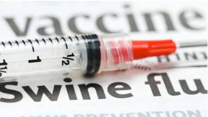Swine flu cases witness rise in Maharashtra know symptoms how to protect yourself and more gcw Swine flu cases witness rise in Maharashtra know symptoms how to protect yourself and more gcw