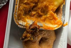Cockroach served in Air India Food