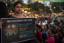 T1 case closed: Tigress Avni never got justice, but does the system even care?