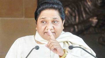 Mayawati asked to media dont play SC statement on her statue