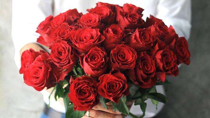 Nepal To Import Over 1.5 Lakh Roses From India in Valentine's Day Nepal To Import Over 1.5 Lakh Roses From India in Valentine's Day