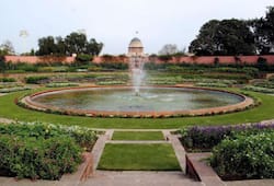 Mughal Gardens opened for public: What makes the Rashtrapati Bhavan's udyanotsav special