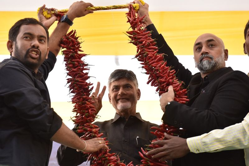 ఢిల్లీలో లో గాంధీకి నివాళులర్పించి దీక్షలో పాల్గొన్న బాబు
