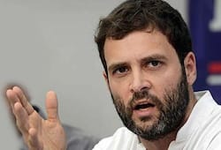 BJP Rahul Gandhi accepts defeat Congress veterans contest Lok Sabha polls