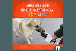 single in Delhi on Valentine's Day Check out their plans