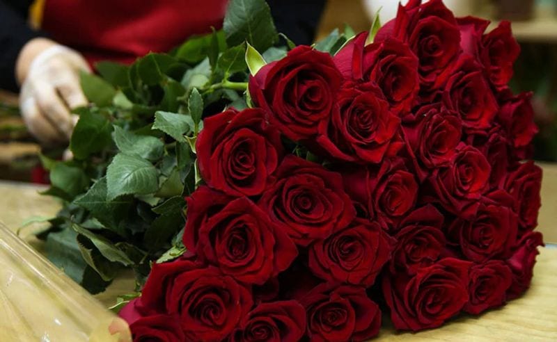 Red Roses: Love