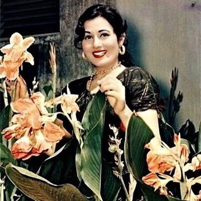 মধুবালার সৌন্দর্য, সহজাত অভিনয় ক্ষমতা, তাকে জনপ্রিয়তার শীর্ষে পৌঁছে দিয়েছিল।
