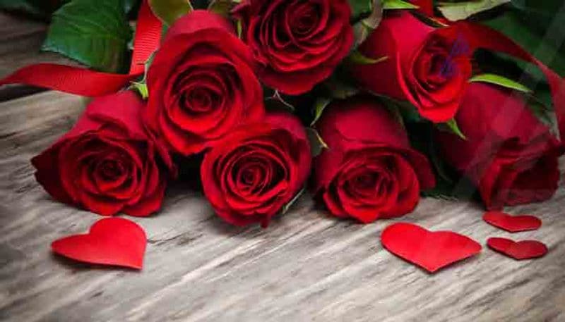 Soak some fresh rose petals in a little milk overnight. In the morning, mash the petals and milk to make a paste; add more milk if required. Apply the paste onto lips and rinse off after 15 minutes. You can use this remedy every day or night. Rose petals and milk, both being natural moisturisers, will hydrate your lips and make them soft.