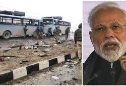 only Pakistan is not culprit for Pulwama attack