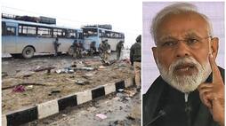 only Pakistan is not culprit for Pulwama attack