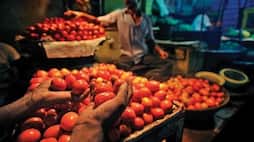 Pulwama terror fallout: Jhabua farmers stop sending Petlawad tomatoes to Pakistan