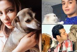 These 13 celebrities pets will make you go aww