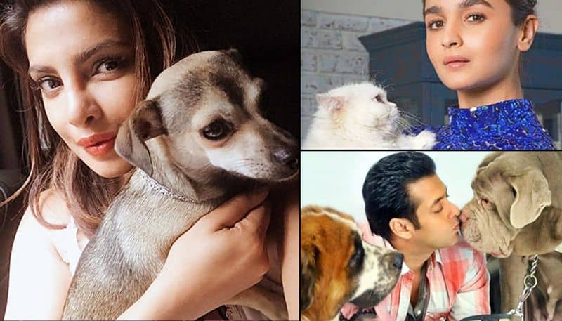 Celebrate your four-legged best friend just like these celebrities
