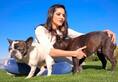 Want to reduce stress? Pet your dogs and cats and feel the effect