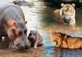 water scarcity hits bengalurus bannerghatta biological park