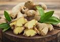 Lifeline how ginger can help preserve your skin