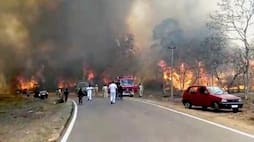Major fire Karnataka Bandipur Tiger Reserve
