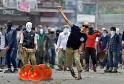 Tomato supply ban: Pakistan says 'Tauba-tauba', stone pelters Stalking in Kashmir
