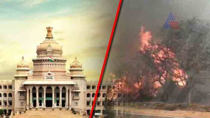 Karnataka Govt appoints T Balachandra a New Bandipur FC Karnataka Govt appoints T Balachandra a New Bandipur FC