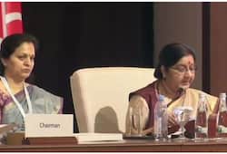 OIC Meeting, Sushma Swaraj Points To Pakistan Hand In Terror
