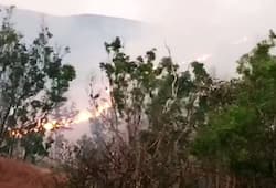 Forest fire engulfs Karnatakas Kudremukh National Park