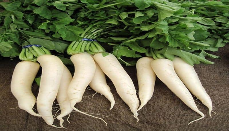 10 health benefits of having radish in your daily food