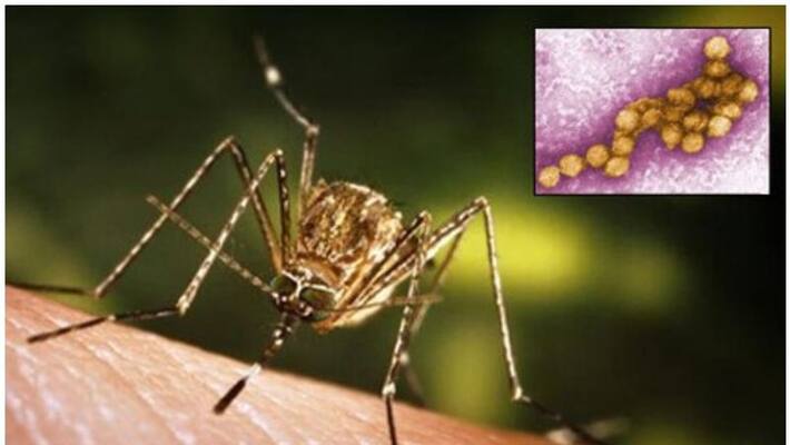 West Nile virus has arrived in Bangladesh West Nile virus has arrived in Bangladesh