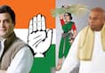 JDS 8 seats Congress 20 seats in Karnataka Lok Sabha elections alliance seat-sharing